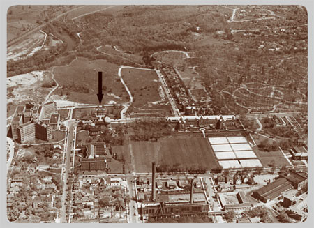 The University Main Building